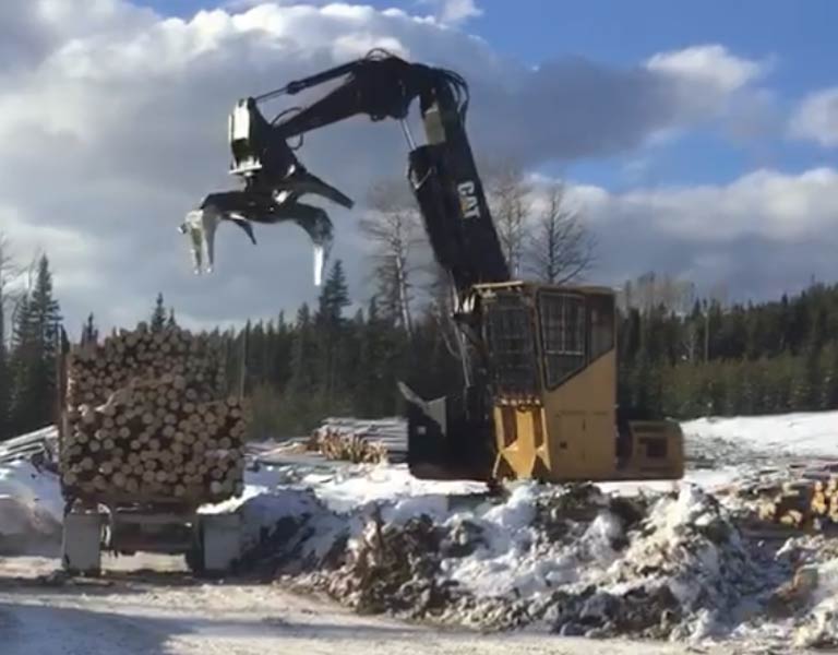 timber pro log loader logging services